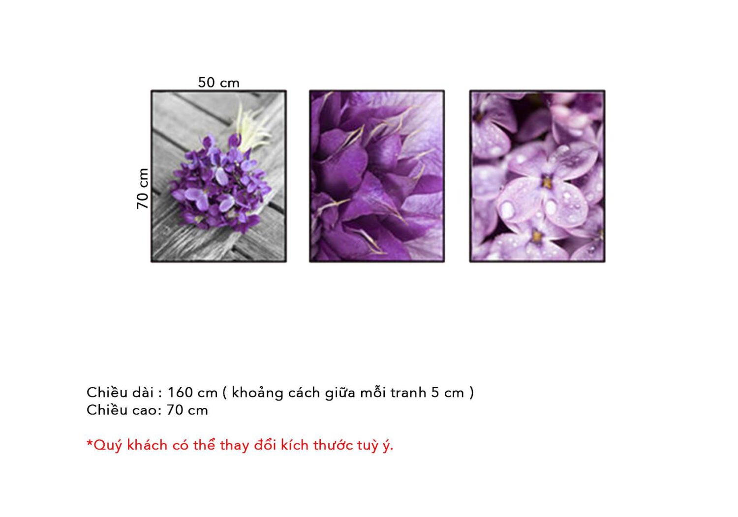 Bộ 3 tranh hoa màu tím