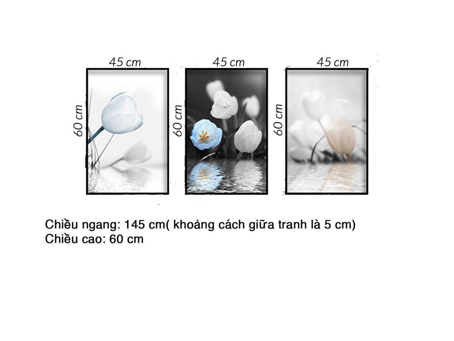 Bộ 3 Tranh Hoa Tulip Trắng Xanh