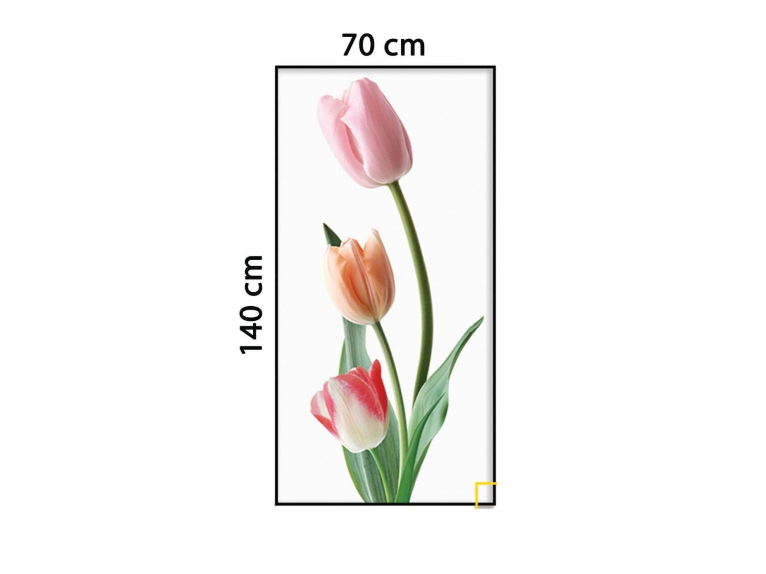 Tranh Hoa Tulip Đơn Giản